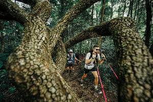 BIB: 
                            <button type="button" onclick="openModal(25393129)" class="btn btn-primary btn-sm float-right btn-popup" data-toggle="modal" data-target=".modal-high-quality">
                        <i class="fas fa-shopping-cart"></i> Add to Cart
                    </button>
                                            <button type="button" onclick="isThisMe(25393129, true)" class="btn btn-success btn-sm float-right btn-popup btn-isme hidden" data-toggle="tooltip" data-placement="bottom" title="นี่คือรูปของคุณใช่ไหม คลิกที่นี่เพื่อเอาเข้าอัลบั้ม">
                        <i class="fas fa-plus"></i> Add to album
                    </button>
                    <button type="button" onclick="isThisMe(25393129, false)" class="btn btn-warning btn-sm float-right btn-popup btn-isnotme hidden">
                        <i class="fas fa-ban"></i> Remove from album
                    </button>